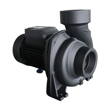 NFm-128B Brass Impeller Irrigation Water Pump 0.8hp 2inch 220V With Single Phase Induction Motor