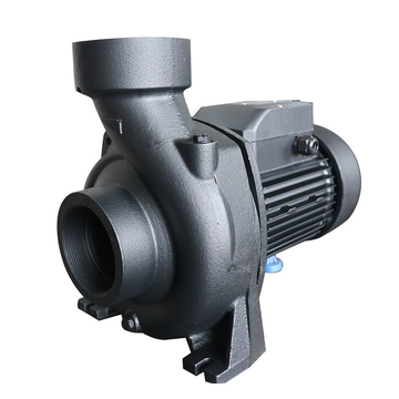 NFm-128B Brass Impeller Irrigation Water Pump 0.8hp 2inch 220V With Single Phase Induction Motor