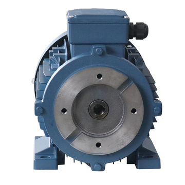 0.75KW Three Phase Hydraulic Pump Motor IP44/IP55